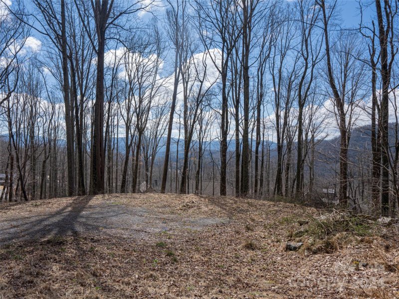 Property image 5 at 17 Twin Springs Court, Fairview, NC 28730