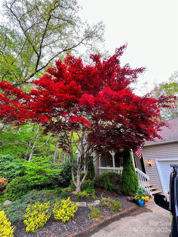 Property image 4 at 144 Fox Cross Drive, Brevard, NC 28712