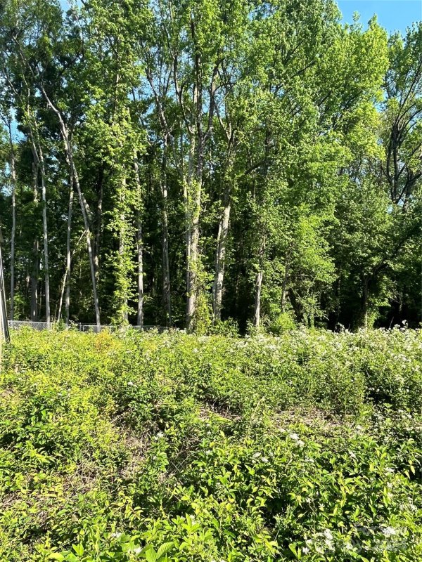 Property image 3 at 1212 Rosada Drive, Charlotte, NC 28213