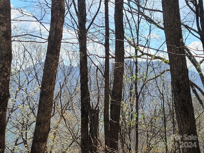 Property image 2 of 000 Skyline Drive in Eagles Nest Mountain, Waynesville, NC 28786