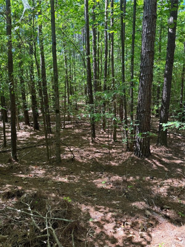 Property image 3 at Lot 641 Timber Lake Drive, Troutman, NC 28166