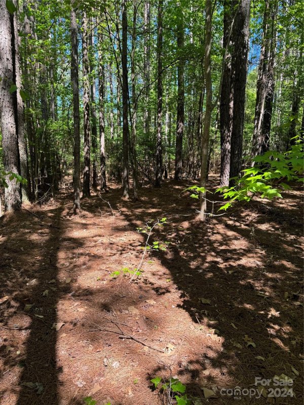 Property image 4 at Lot 641 Timber Lake Drive, Troutman, NC 28166