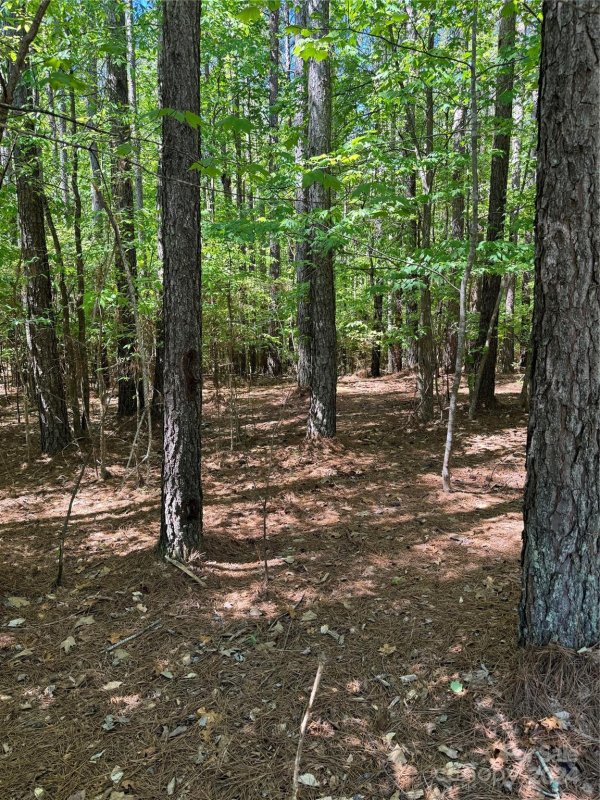 Property image 5 at Lot 641 Timber Lake Drive, Troutman, NC 28166