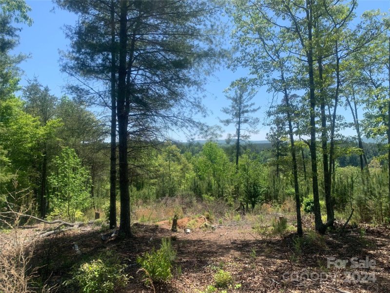 Property image 2 at Tbd Coveside Drive, Granite Falls, NC 28630