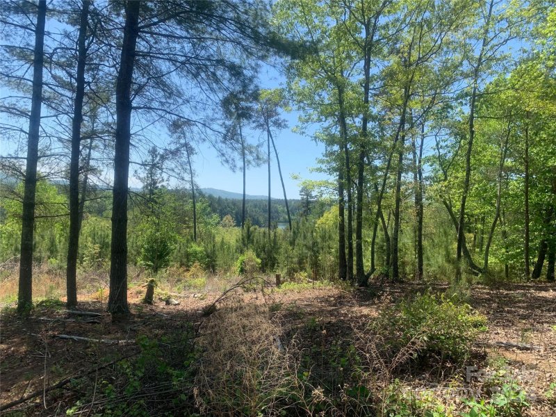 Property image 3 at Tbd Coveside Drive, Granite Falls, NC 28630