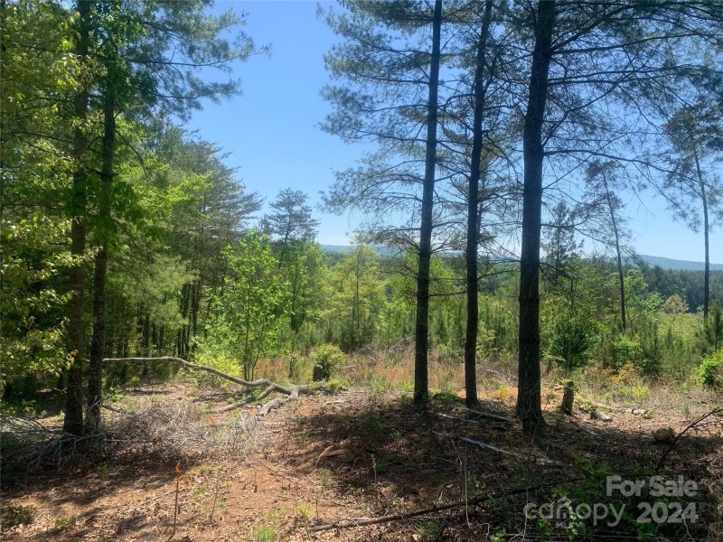 Property image 4 at Tbd Coveside Drive, Granite Falls, NC 28630