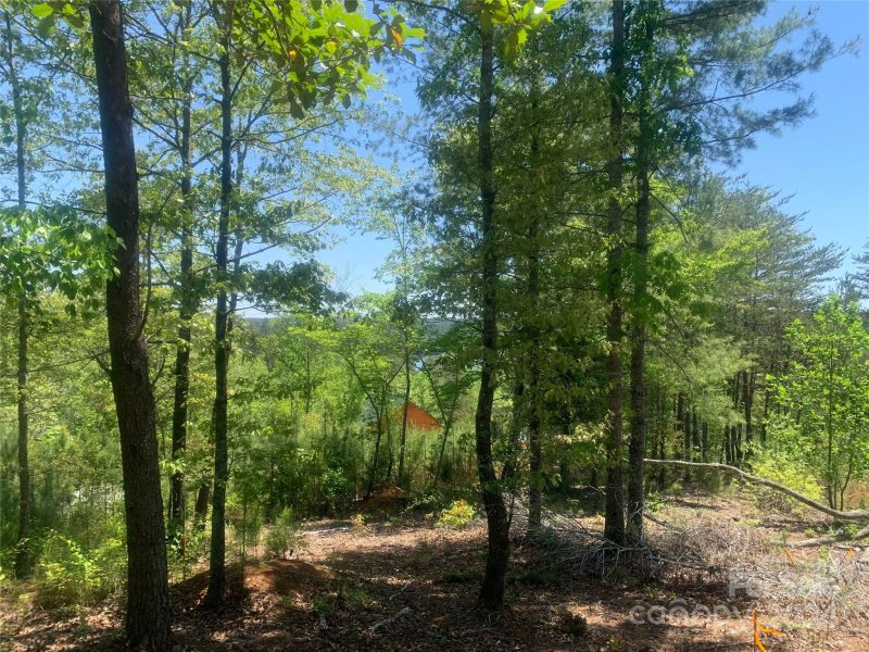 Property image 5 at Tbd Coveside Drive, Granite Falls, NC 28630