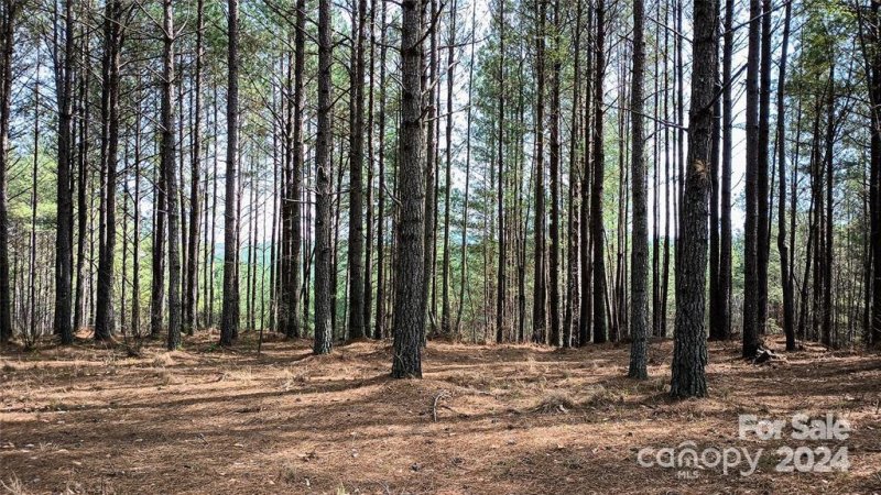 114 Table Rock Trace