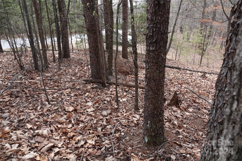 Property image 5 at 45 Woodgate Drive, Bostic, NC 28018