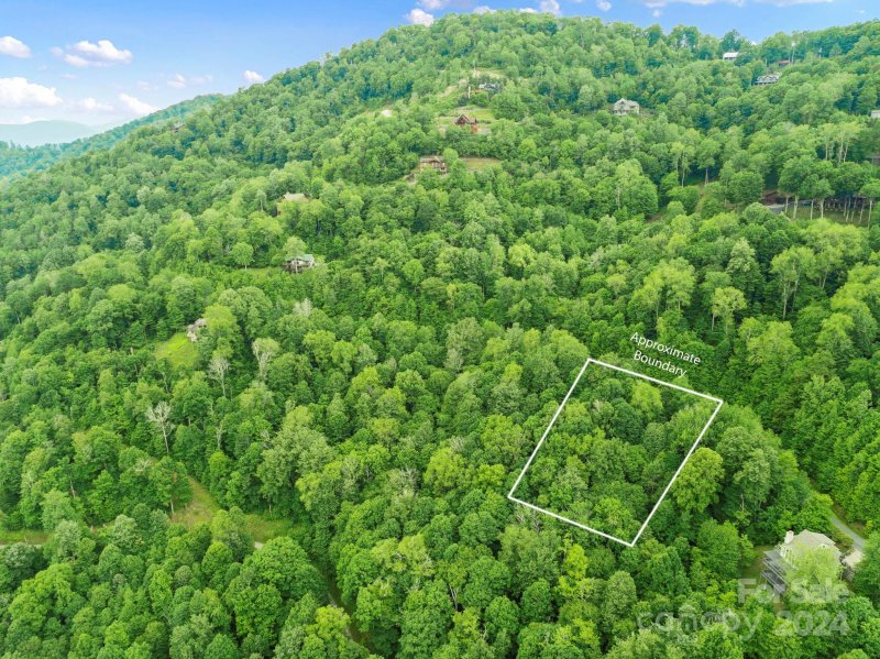 Property image 2 of 98 Goldenleaf Road in Wolf Laurel, Mars Hill, NC 28754