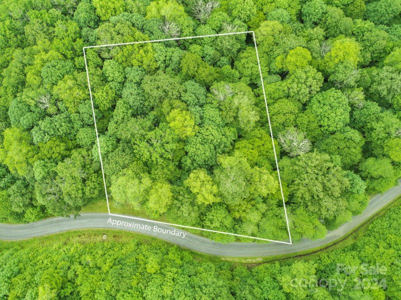 Property image 3 of 98 Goldenleaf Road in Wolf Laurel, Mars Hill, NC 28754