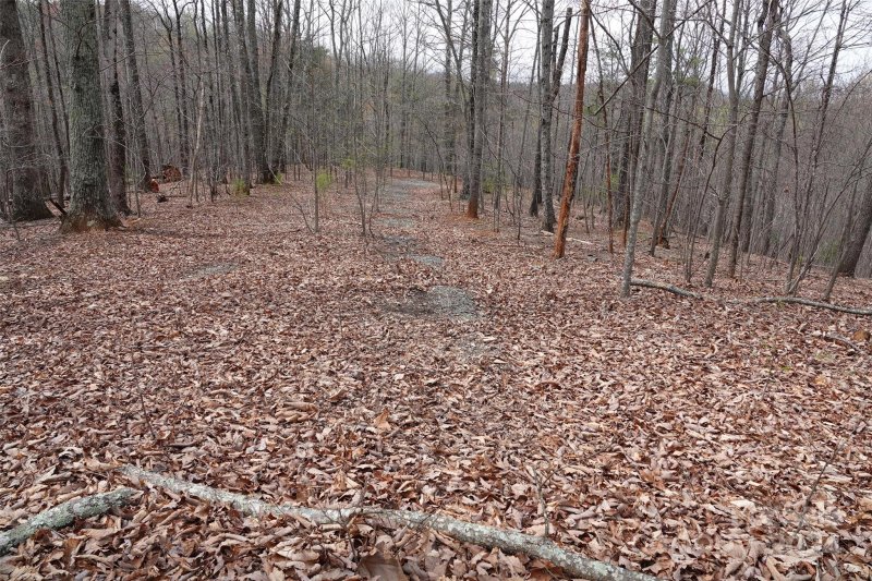 Property image 3 at 101 Skyridge Drive, Bostic, NC 28018