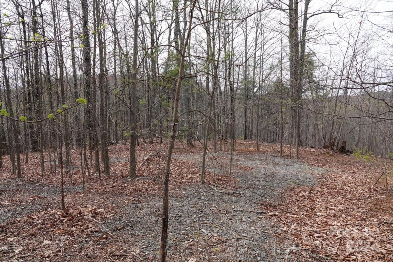 Property image 5 at 101 Skyridge Drive, Bostic, NC 28018