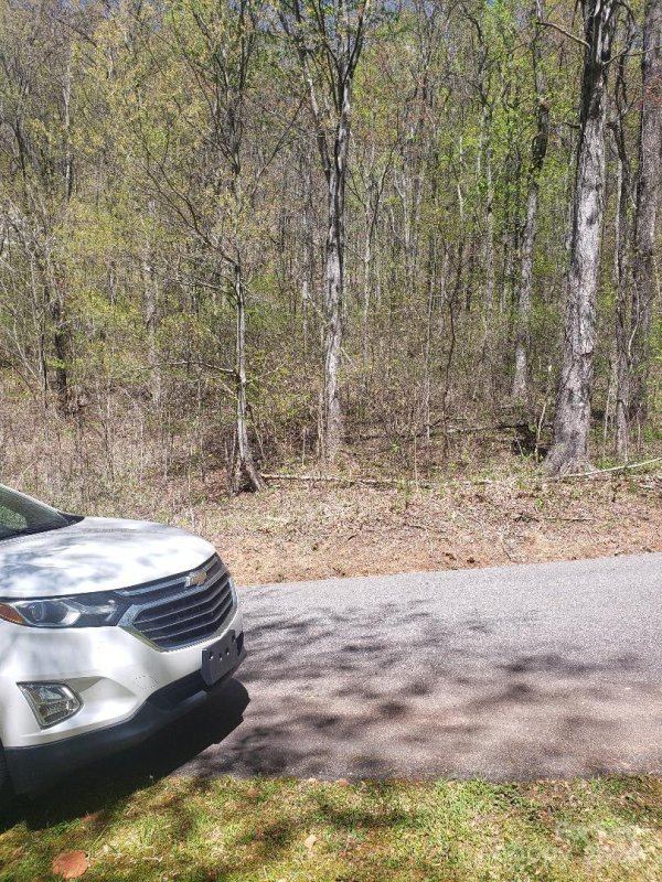 Property image 4 at 40 Mountain Watch Drive, Waynesville, NC 28785