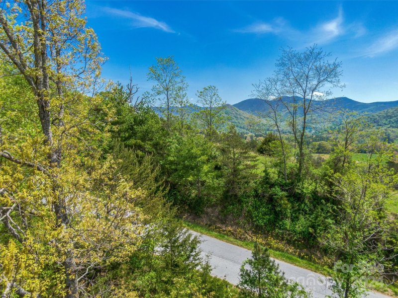 Property image 5 at 30 Courseview Drive, Weaverville, NC 28787