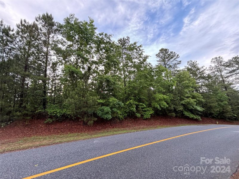 Property image 2 at 1391 E Paradise Harbor Drive, Connelly Springs, NC 28612