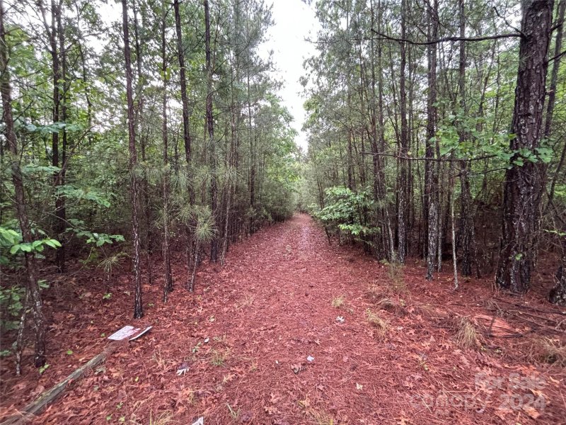 Property image 4 at 1391 E Paradise Harbor Drive, Connelly Springs, NC 28612