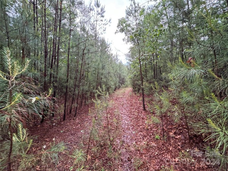 Property image 5 at 1391 E Paradise Harbor Drive, Connelly Springs, NC 28612