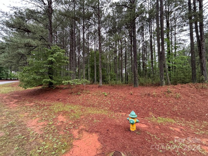 Property image 2 at 2773 E Paradise Harbor Drive, Connelly Springs, NC 28612