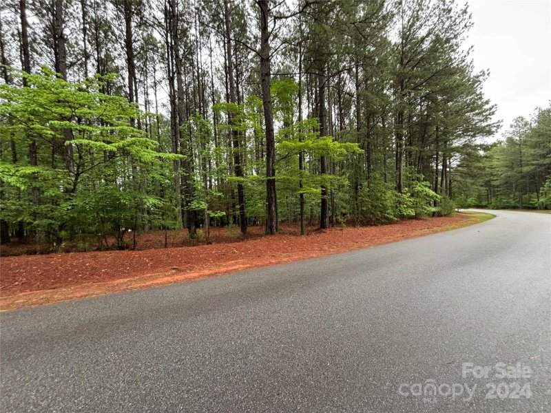 Property image 3 at 2773 E Paradise Harbor Drive, Connelly Springs, NC 28612