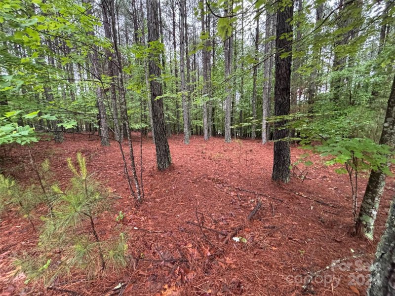 Property image 5 at 2773 E Paradise Harbor Drive, Connelly Springs, NC 28612