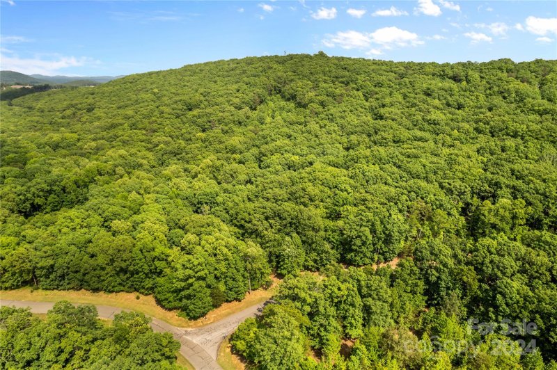 Property image 3 at 159 Pinnacle Trail, Denton, NC 27239