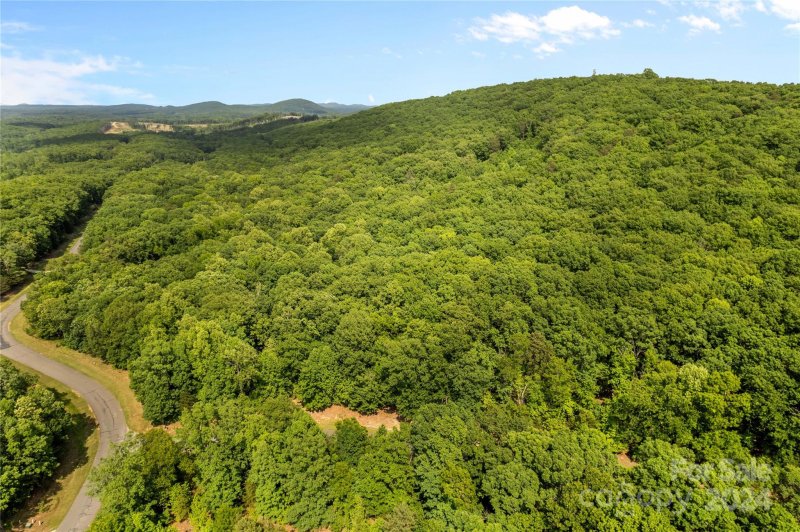 Property image 4 at 159 Pinnacle Trail, Denton, NC 27239