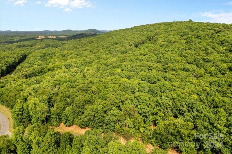 Property image 5 at 159 Pinnacle Trail, Denton, NC 27239