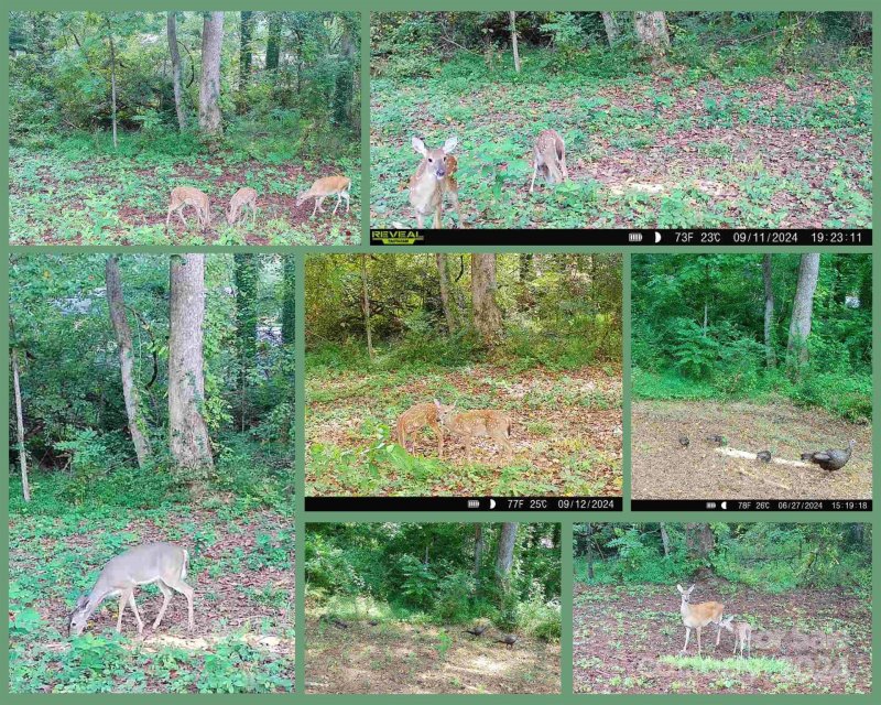 1116 1104 Kensington Circle