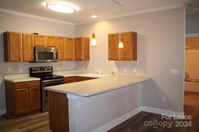 Property image 4 at 19766 Feriba Place, Cornelius, NC 28031