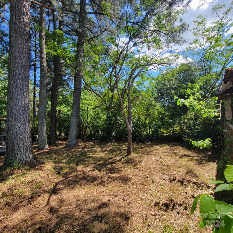 Property image 3 at 4945 Wrenn Drive, Denver, NC 28037