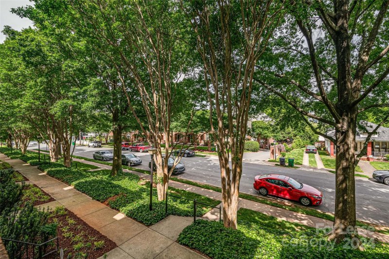 Property image 3 at 223 Torrence Street, Charlotte, NC 28204