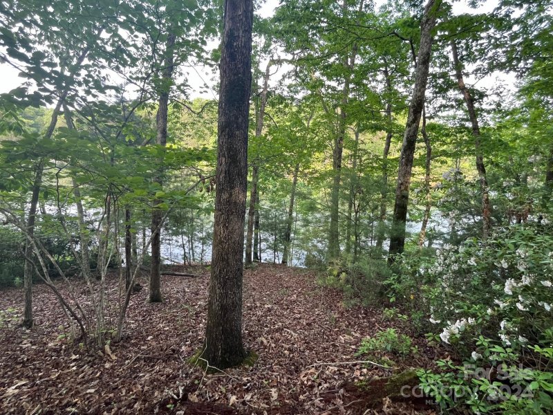 Property image 4 at Lots 40 41 Canoe Drive, Mill Spring, NC 28756