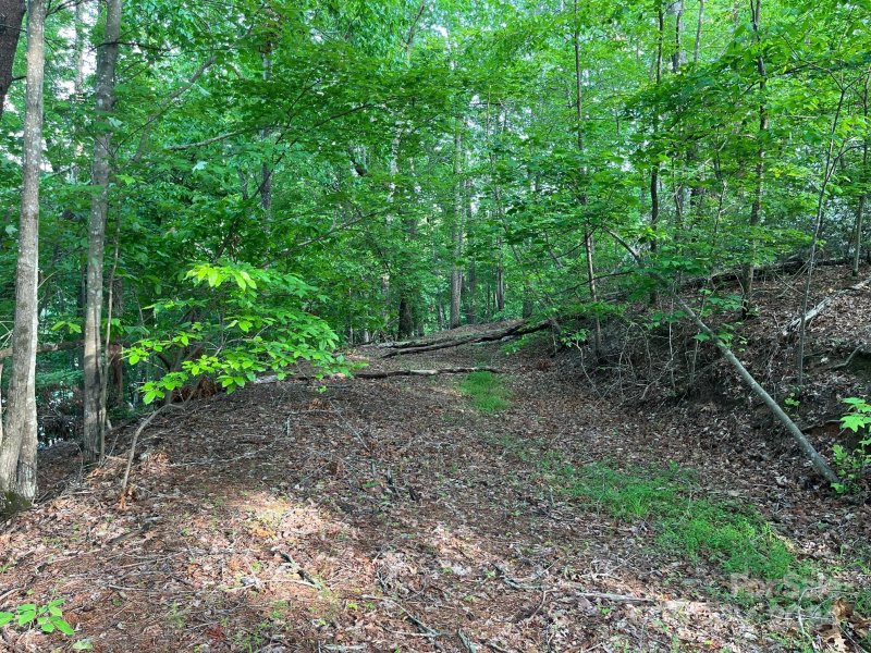 Property image 5 at Lots 40 41 Canoe Drive, Mill Spring, NC 28756