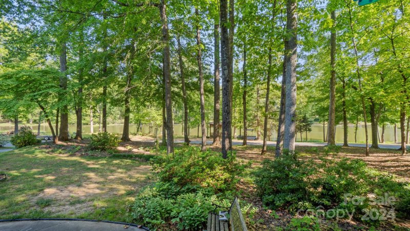 Property image 4 at 438 Lake Shore Drive, Fort Mill, SC 29715