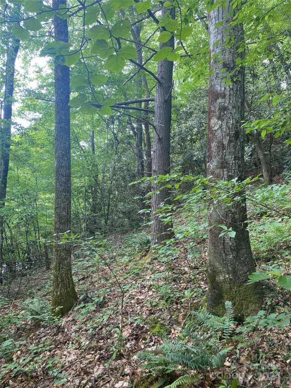 Property image 4 of 0 Cedar Creek Road in Riverbend Highlands, Lake Lure, NC 28746