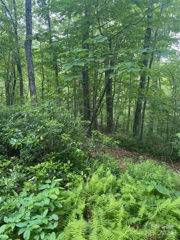 Property image 5 of 0 Cedar Creek Road in Riverbend Highlands, Lake Lure, NC 28746