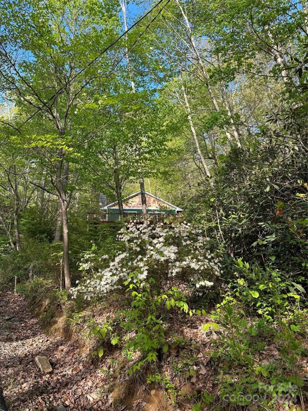 Property image 3 at 1625 Mountain Cove Road, Black Mountain, NC 28711