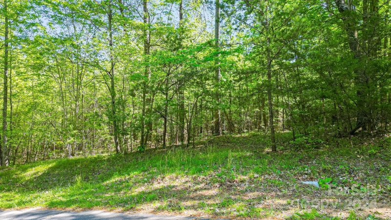 Property image 2 of 0 W T Wilkins Road in Wilkins Forest, Rutherfordton, NC 28139