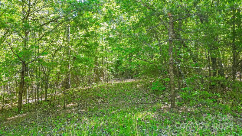 Property image 3 of 0 W T Wilkins Road in Wilkins Forest, Rutherfordton, NC 28139