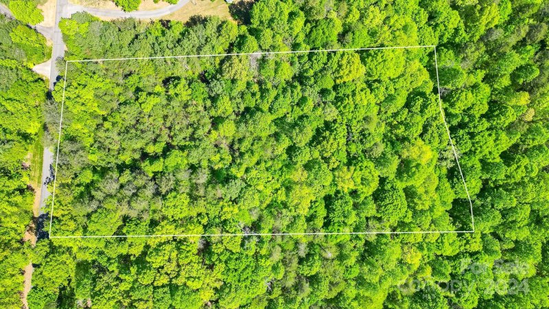 Property image 5 of 0 W T Wilkins Road in Wilkins Forest, Rutherfordton, NC 28139