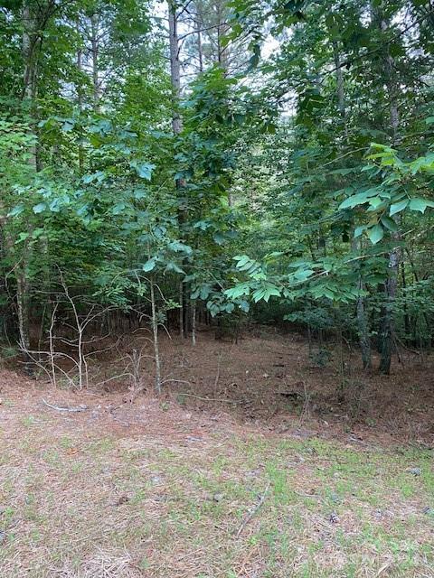 Property image 4 at 1365 1423 Sunset Point Drive, Connelly Springs, NC 28612