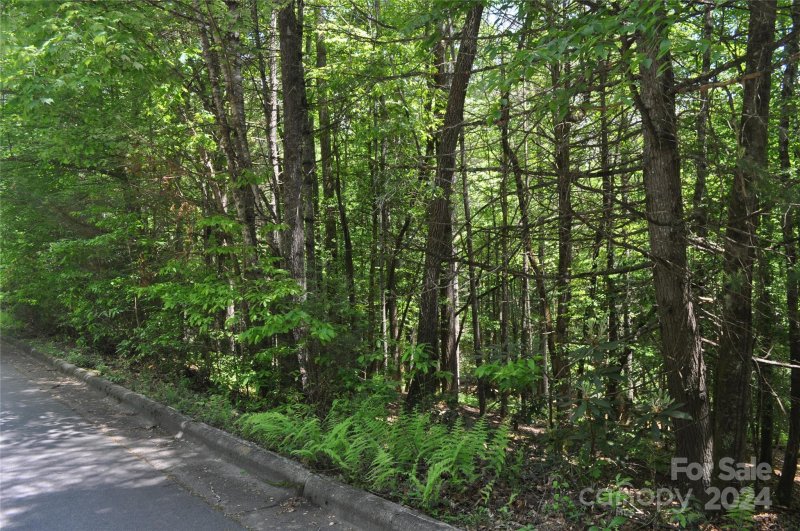 Property image 5 at Tbd Deerlake Road, Brevard, NC 28712