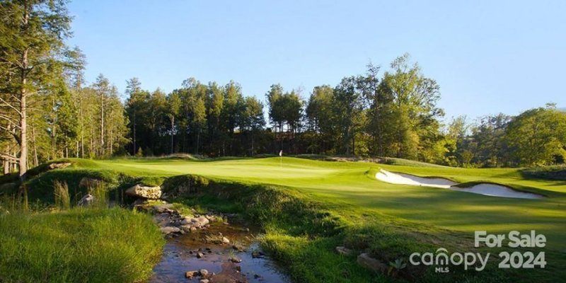 Property image 4 of 236 Nottingham Drive in Brights Creek, Mill Spring, NC 28756