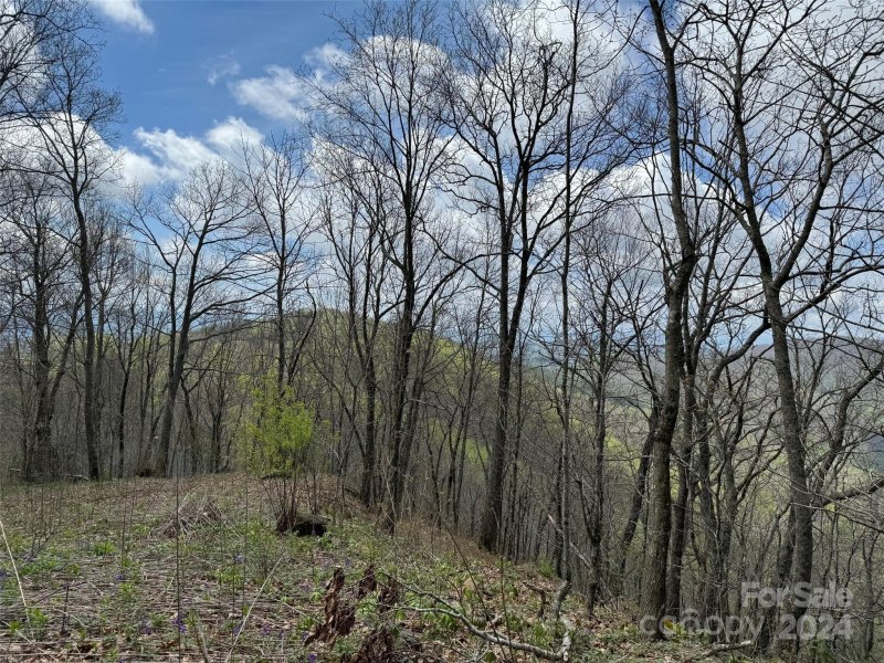 Property image 2 at 99999 Hickory Forest Road, Fairview, NC 28730