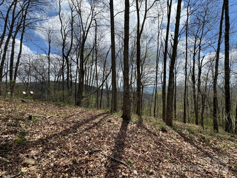 Property image 3 at 99999 Hickory Forest Road, Fairview, NC 28730