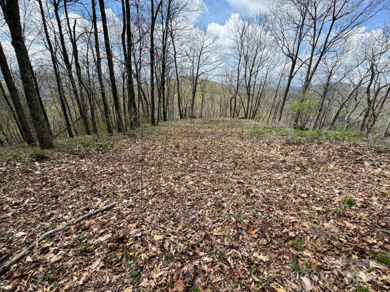 Property image 4 at 99999 Hickory Forest Road, Fairview, NC 28730