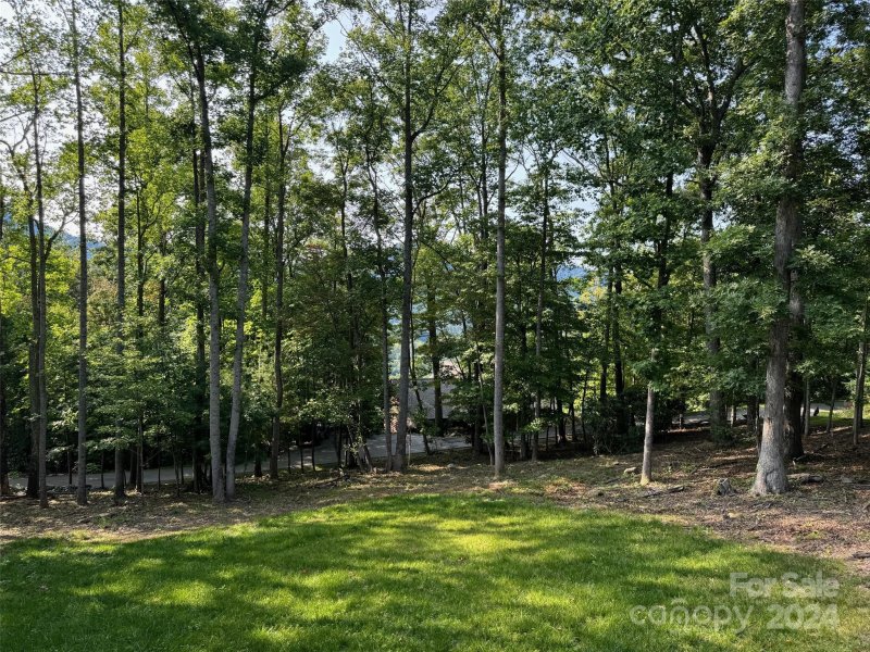 Property image 5 at 501 Sugar Maple Lane, Asheville, NC 28805