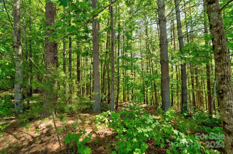 Property image 5 at 1179 Whispering Woods Drive, Morganton, NC 28655