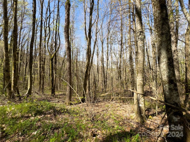 Property image 2 at Lot 80 Shangri Lane, Qualla, NC 28719